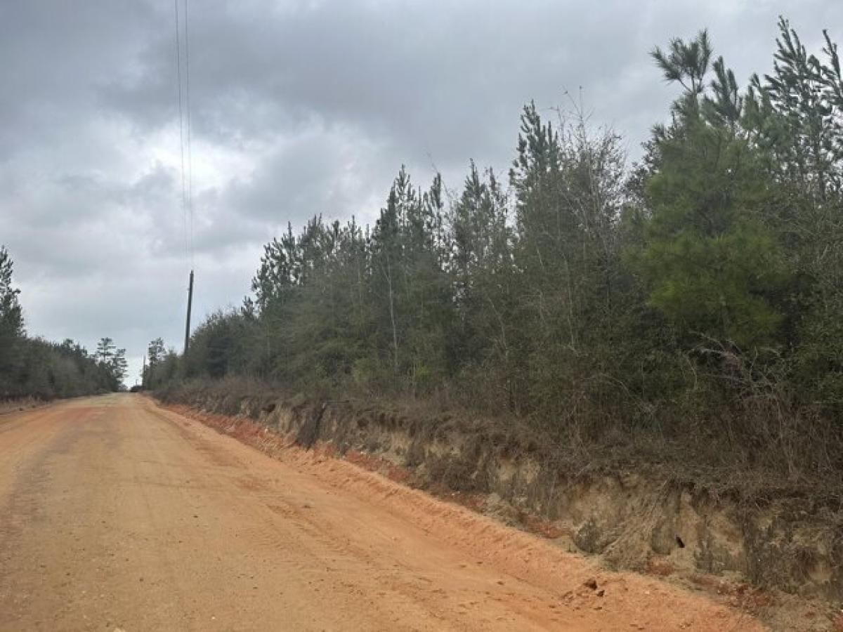 Picture of Residential Land For Sale in Caryville, Florida, United States