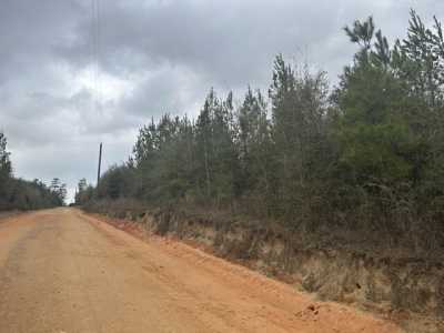 Residential Land For Sale in Caryville, Florida