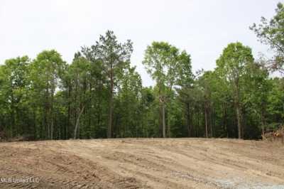 Residential Land For Sale in Walnut, Mississippi