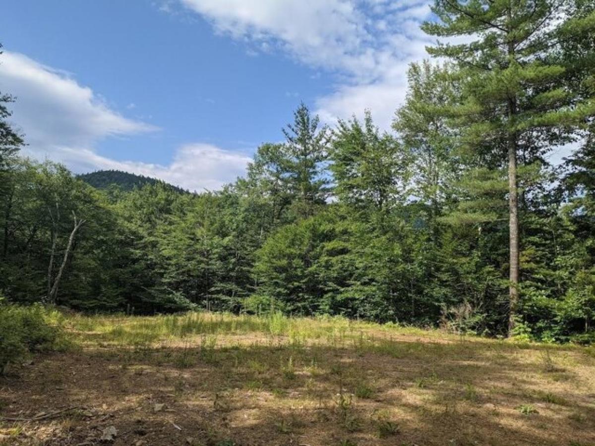 Picture of Residential Land For Sale in Bartlett, New Hampshire, United States