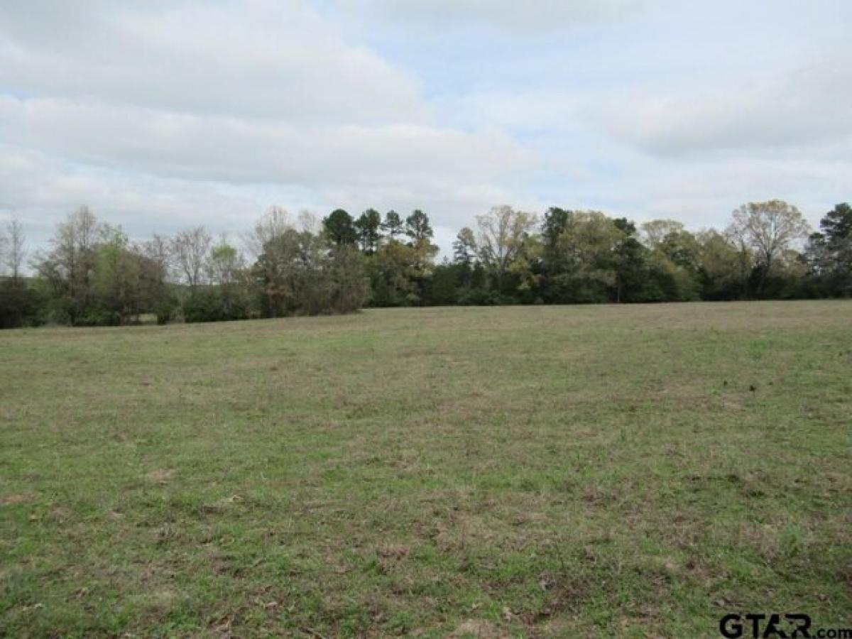 Picture of Residential Land For Sale in Big Sandy, Texas, United States