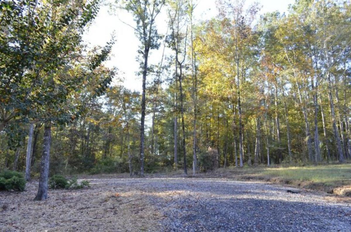 Picture of Residential Land For Sale in Starkville, Mississippi, United States