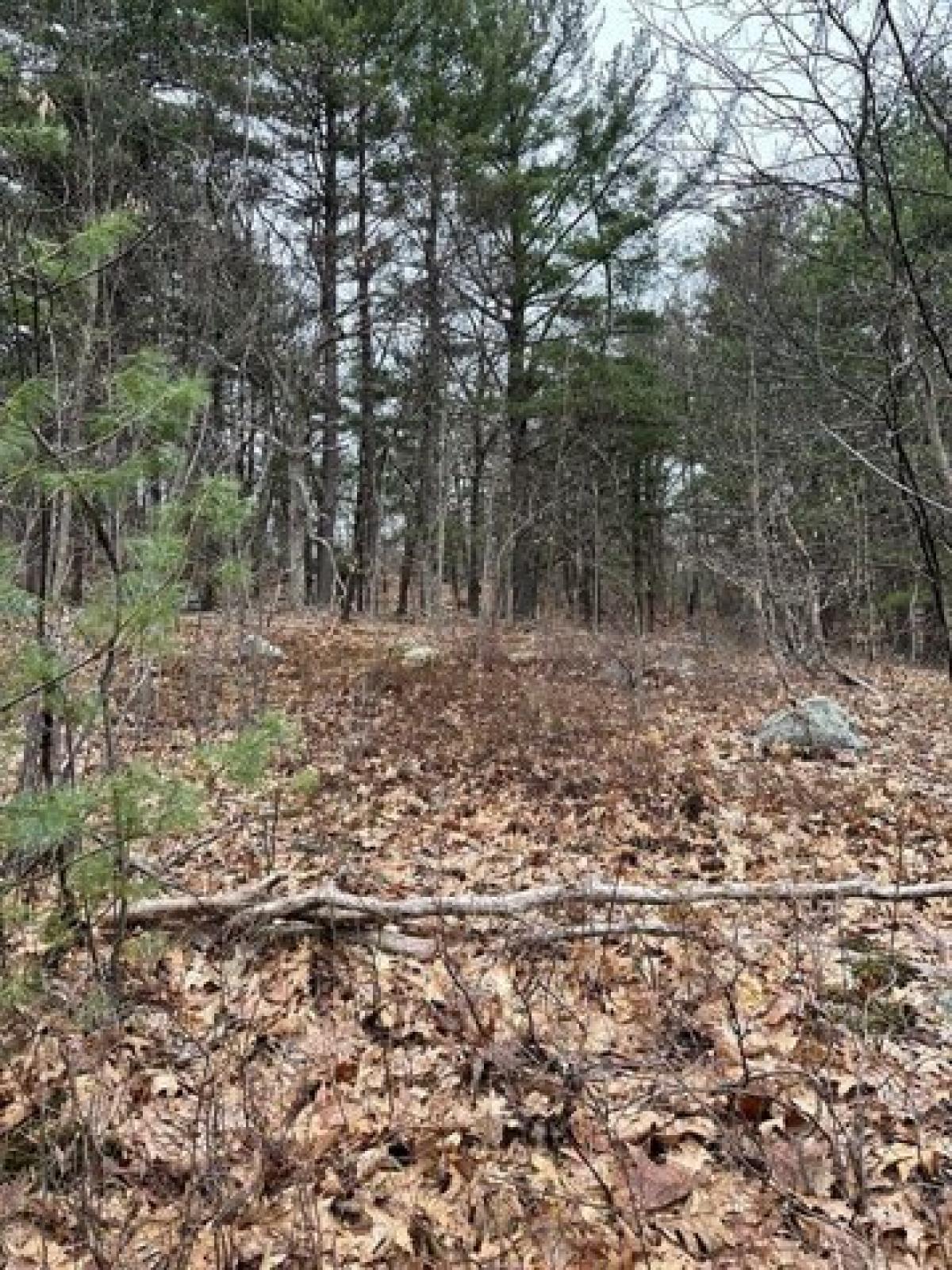 Picture of Residential Land For Sale in Saugus, Massachusetts, United States