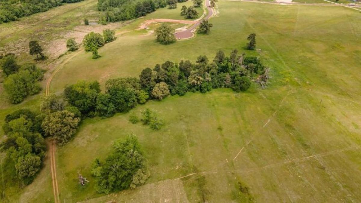 Picture of Residential Land For Sale in Big Sandy, Texas, United States