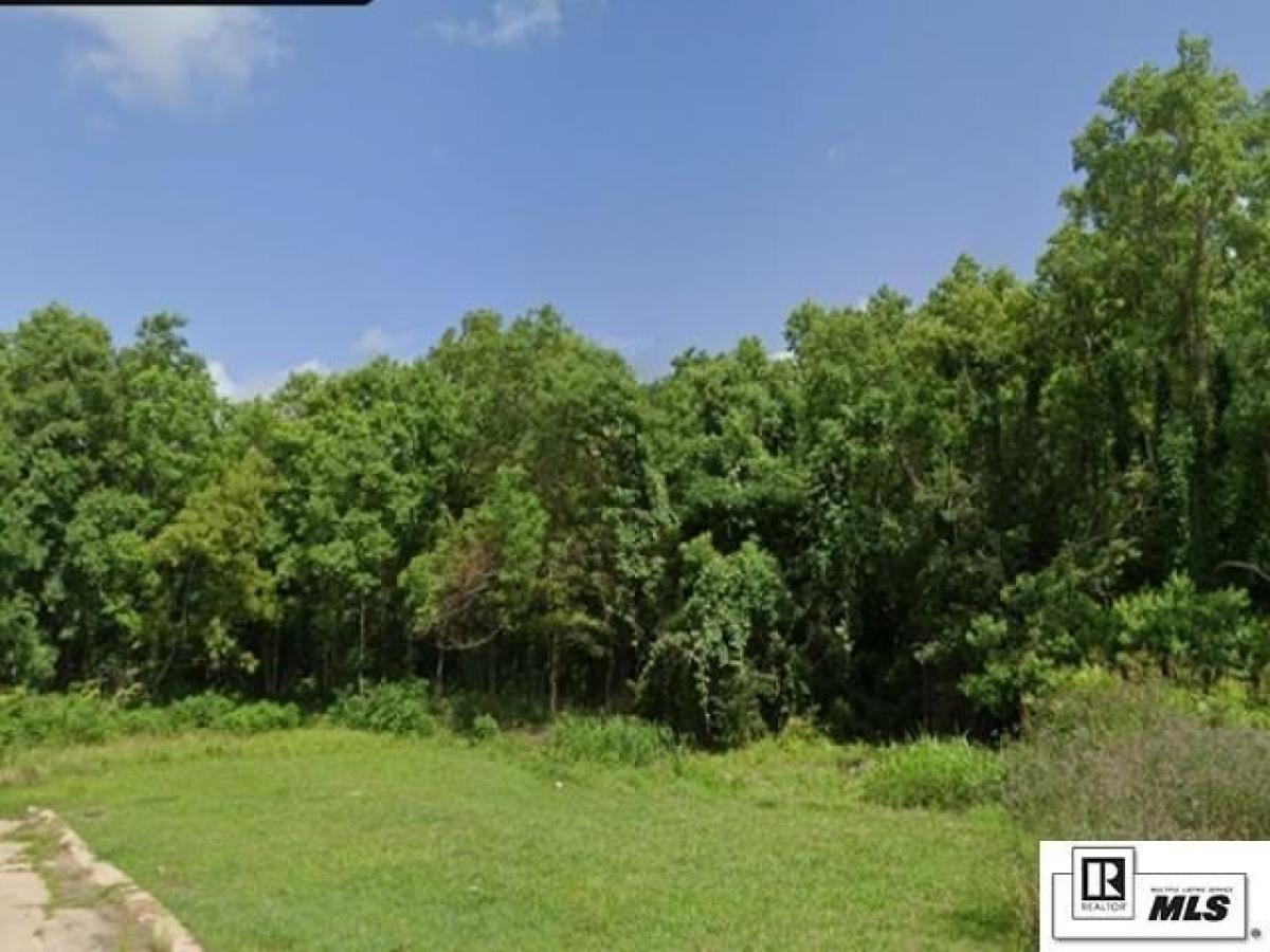 Picture of Residential Land For Sale in Monroe, Louisiana, United States