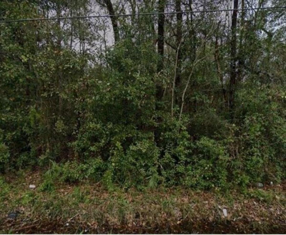 Picture of Residential Land For Sale in Covington, Louisiana, United States