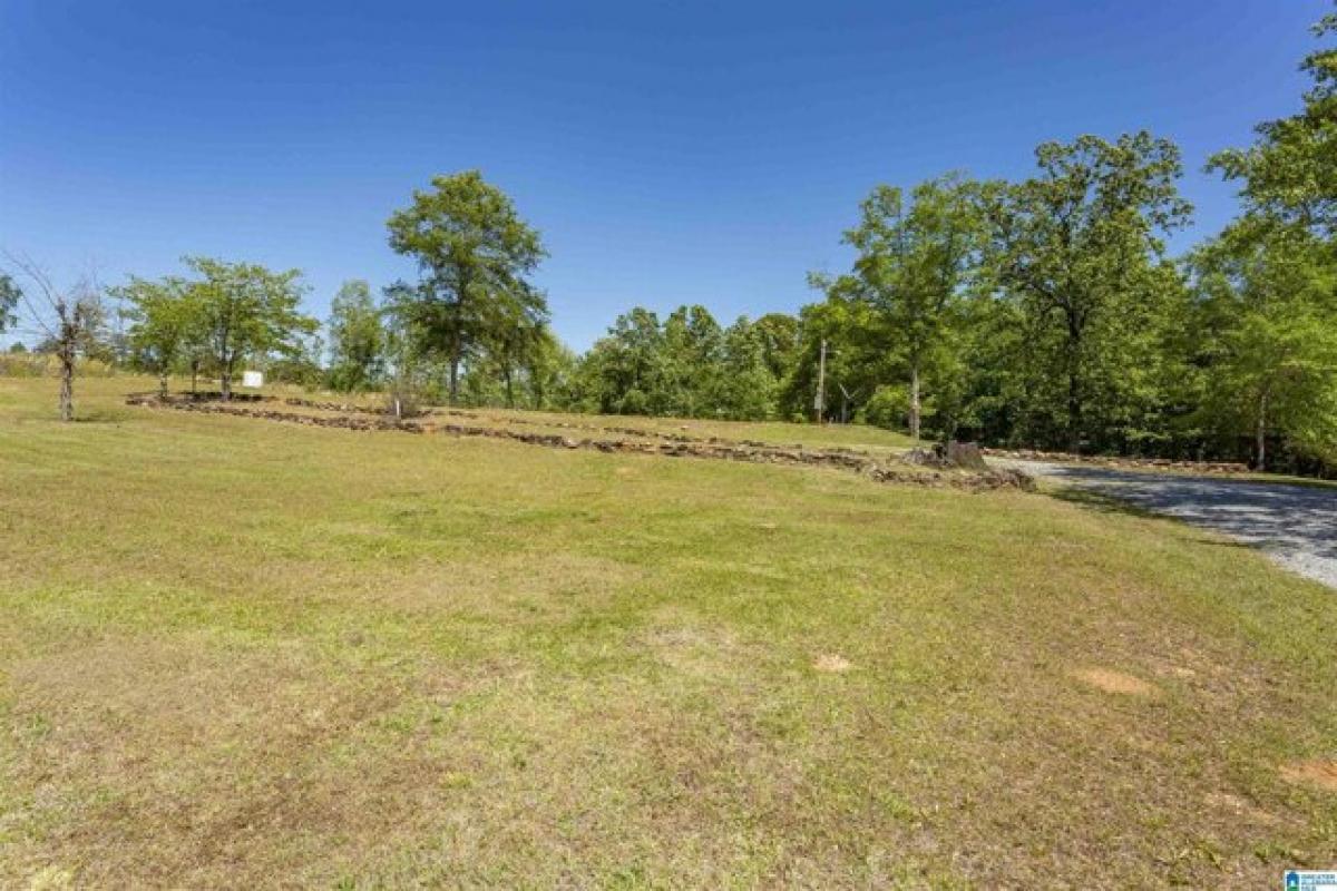 Picture of Residential Land For Sale in Rockford, Alabama, United States