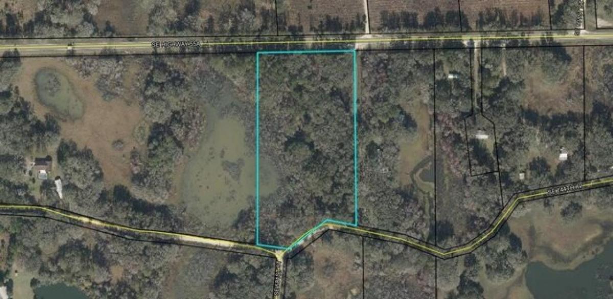 Picture of Residential Land For Sale in Old Town, Florida, United States