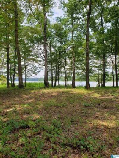 Residential Land For Sale in Akron, Alabama