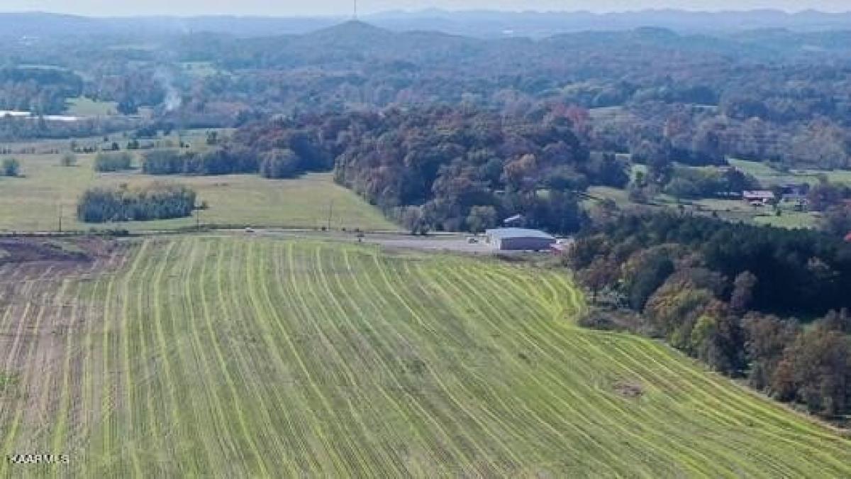 Picture of Residential Land For Sale in Greenback, Tennessee, United States