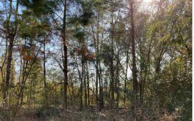 Residential Land For Sale in Live Oak, Florida