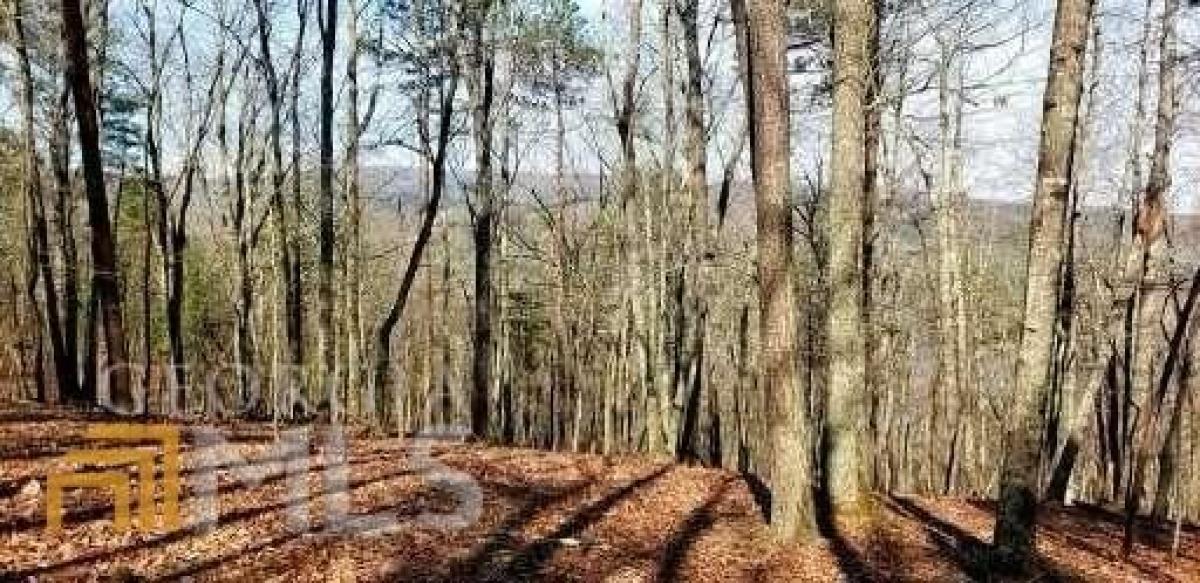 Picture of Residential Land For Sale in Waleska, Georgia, United States