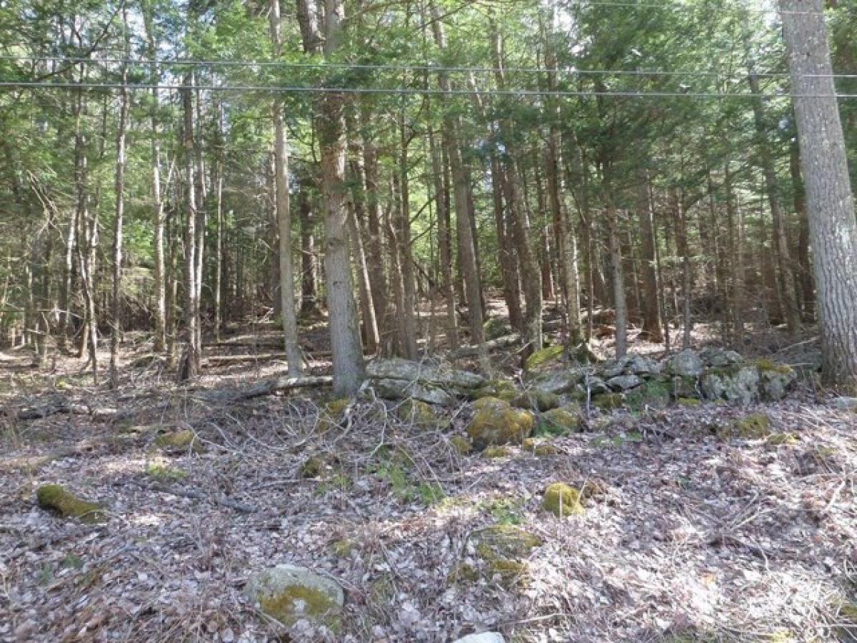 Picture of Residential Land For Sale in Worthington, Massachusetts, United States