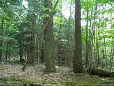 Residential Land For Sale in Lowville, New York
