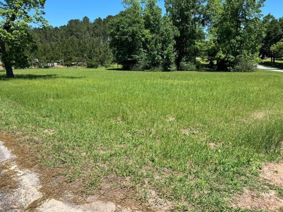 Picture of Residential Land For Sale in Cairo, Georgia, United States