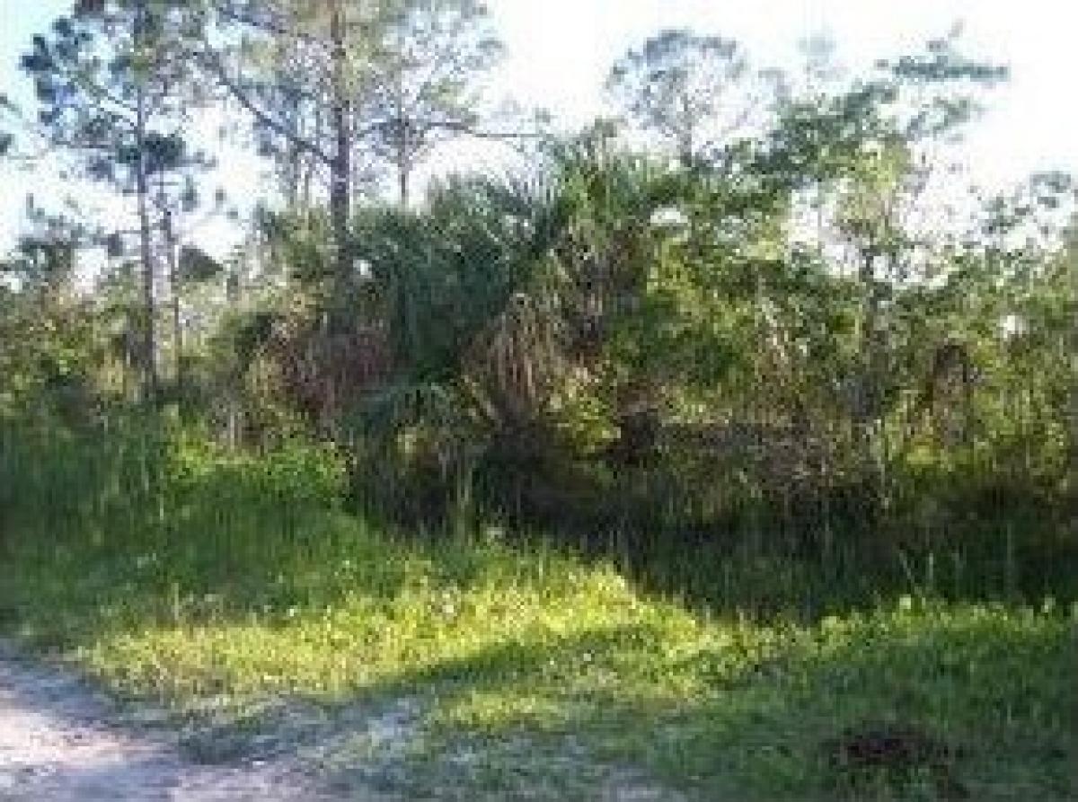 Picture of Residential Land For Sale in Malabar, Florida, United States