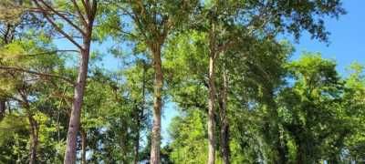 Residential Land For Sale in Poplarville, Mississippi