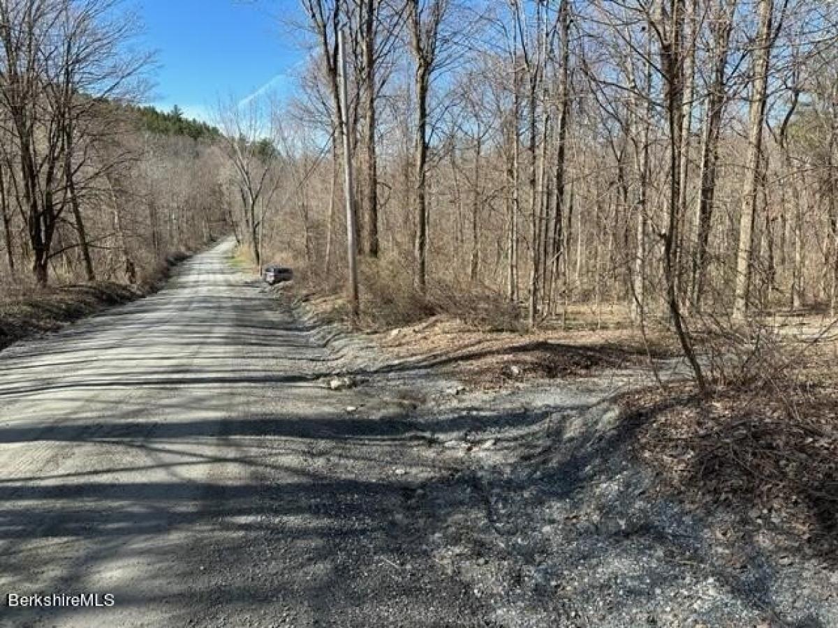 Picture of Residential Land For Sale in West Stockbridge, Massachusetts, United States