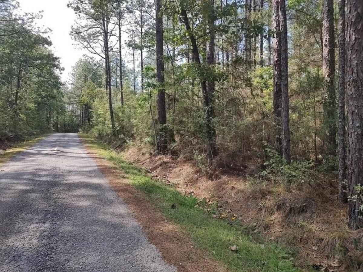 Picture of Residential Land For Sale in Poplarville, Mississippi, United States