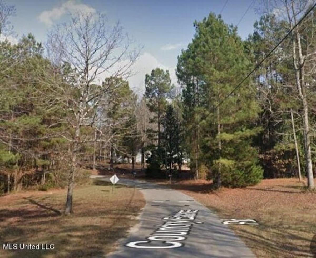 Picture of Residential Land For Sale in Florence, Mississippi, United States