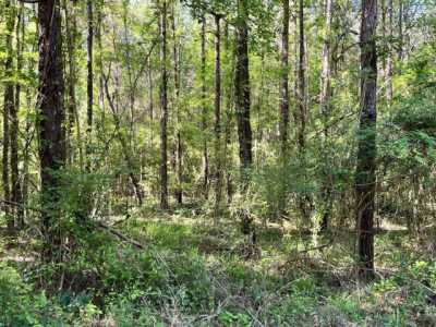 Residential Land For Sale in Ethelsville, Alabama