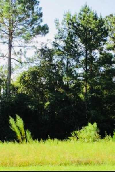 Residential Land For Sale in Valdosta, Georgia