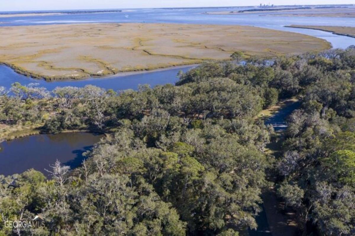 Picture of Residential Land For Sale in Saint Marys, Georgia, United States