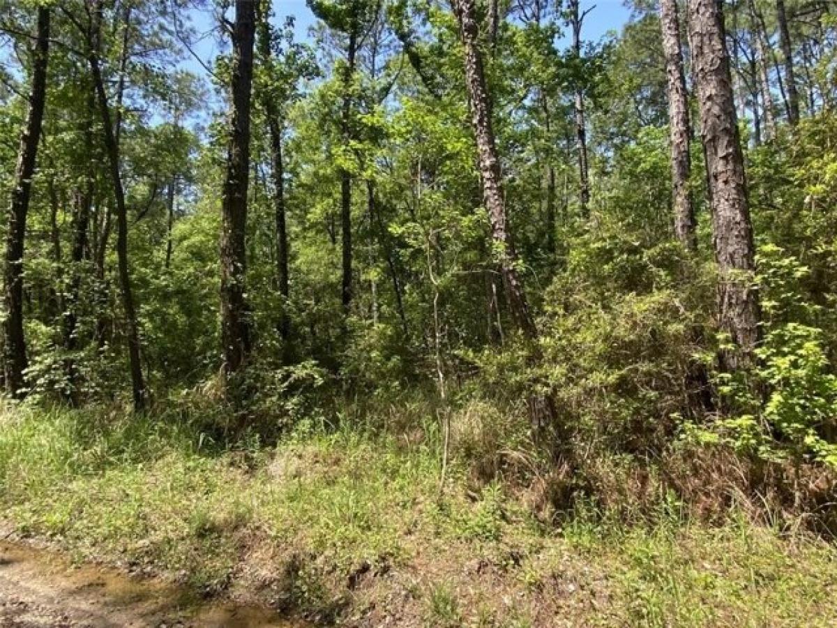 Picture of Residential Land For Sale in Coden, Alabama, United States