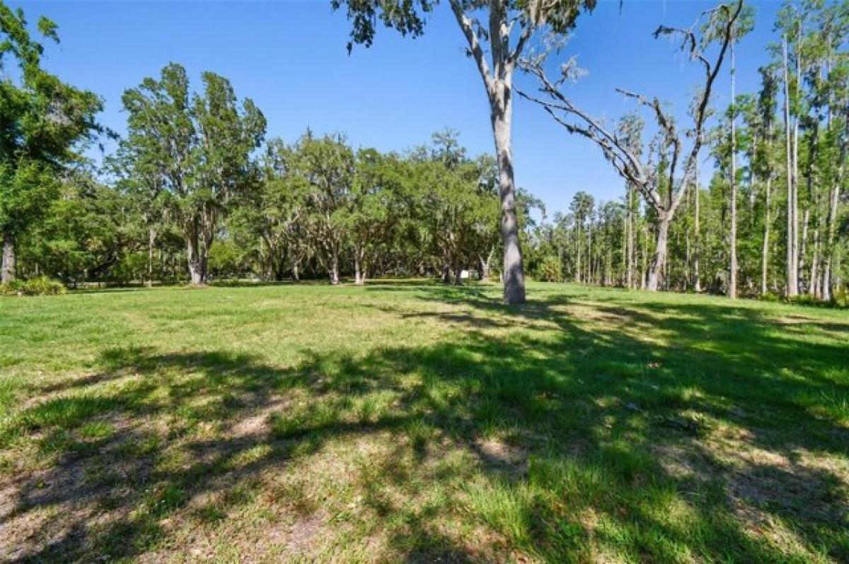 Picture of Residential Land For Sale in Plant City, Florida, United States