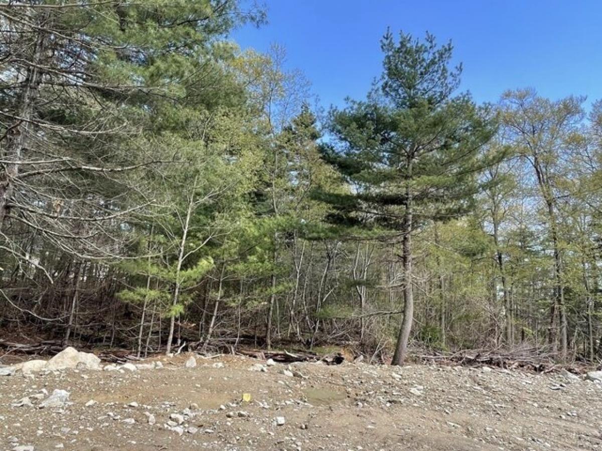 Picture of Residential Land For Sale in Easton, Massachusetts, United States