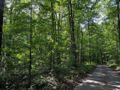 Residential Land For Sale in Chatsworth, Georgia