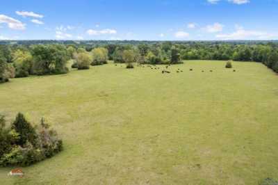 Residential Land For Sale in Beckville, Texas