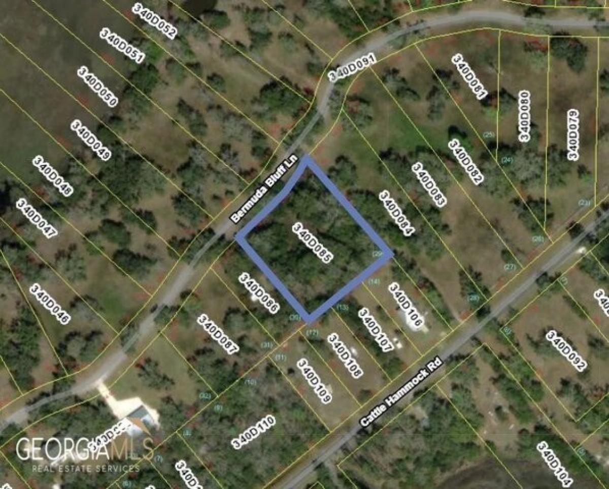 Picture of Residential Land For Sale in Midway, Georgia, United States