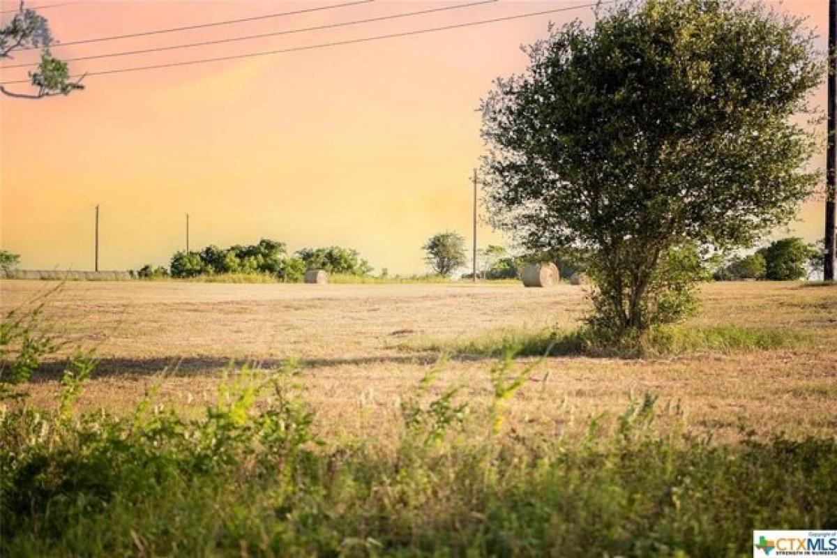 Picture of Residential Land For Sale in Moulton, Texas, United States