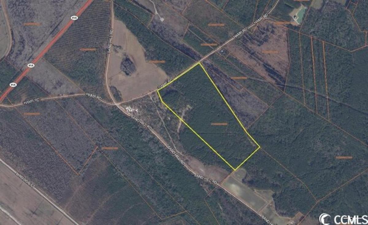 Picture of Residential Land For Sale in Mullins, South Carolina, United States