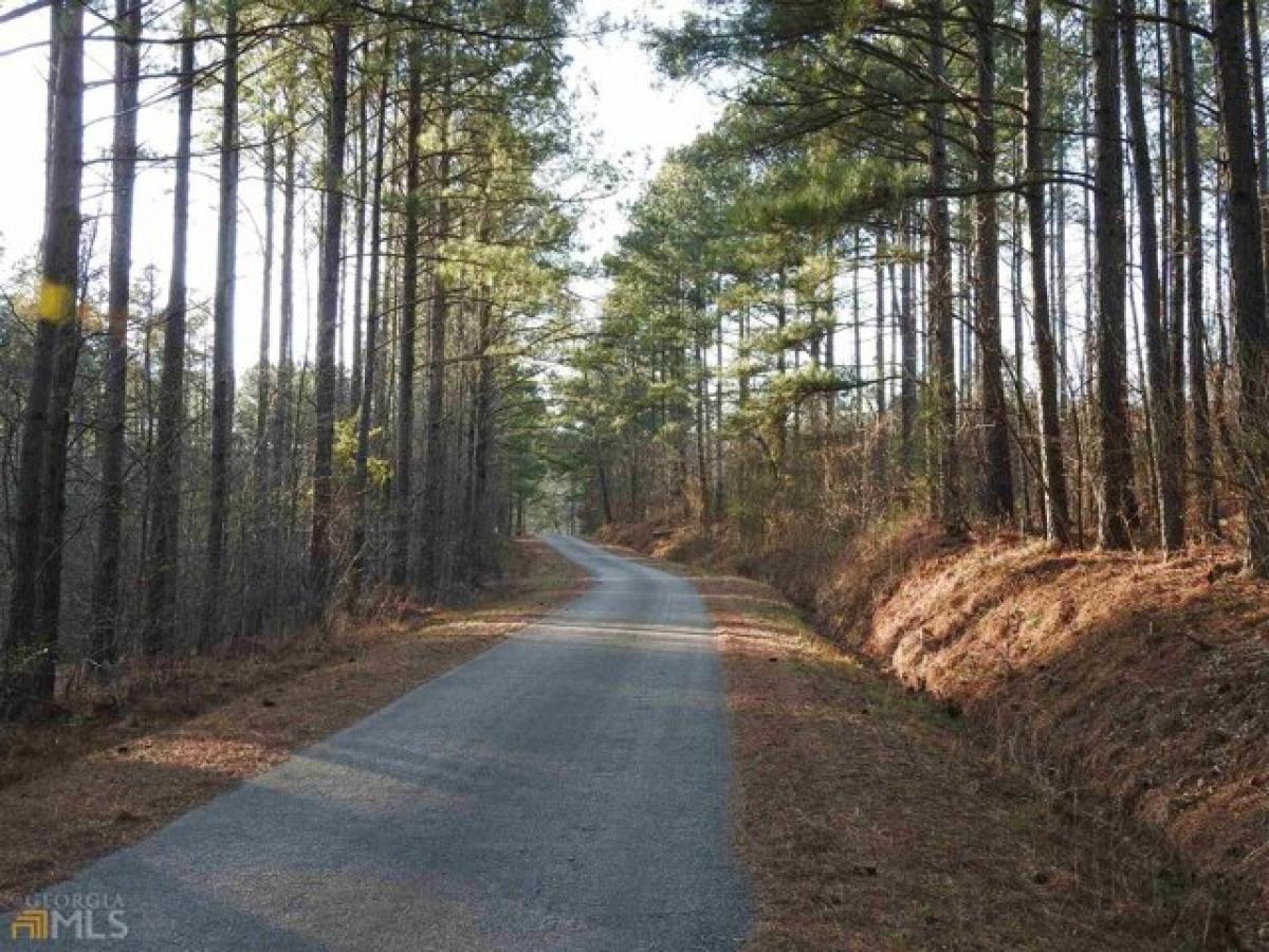 Picture of Residential Land For Sale in Rocky Face, Georgia, United States