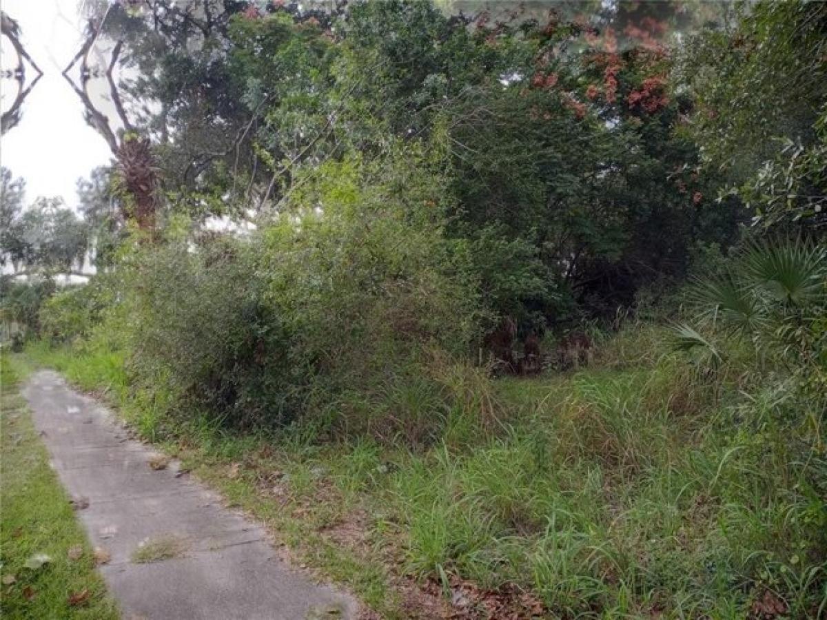 Picture of Residential Land For Sale in Mims, Florida, United States