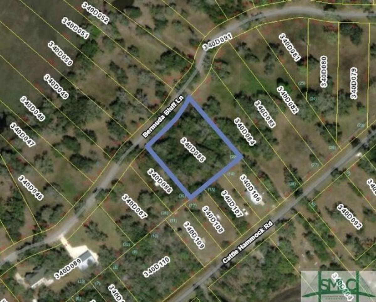 Picture of Residential Land For Sale in Midway, Georgia, United States