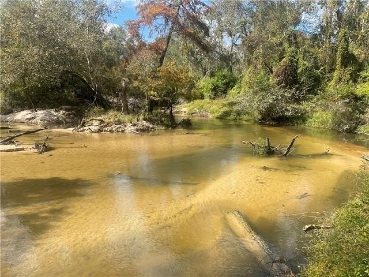 Picture of Residential Land For Sale in Folsom, Louisiana, United States