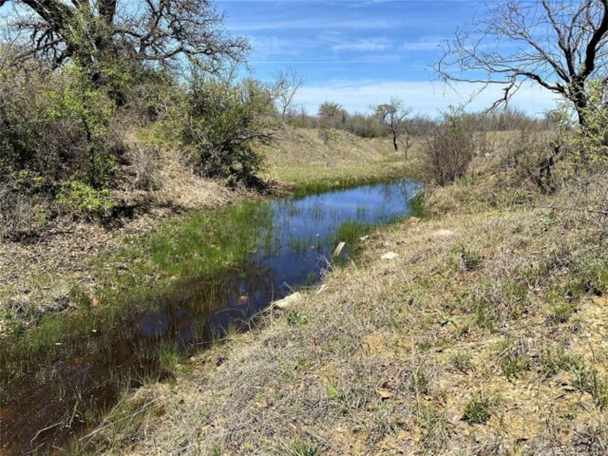 Picture of Residential Land For Sale in Gorman, Texas, United States