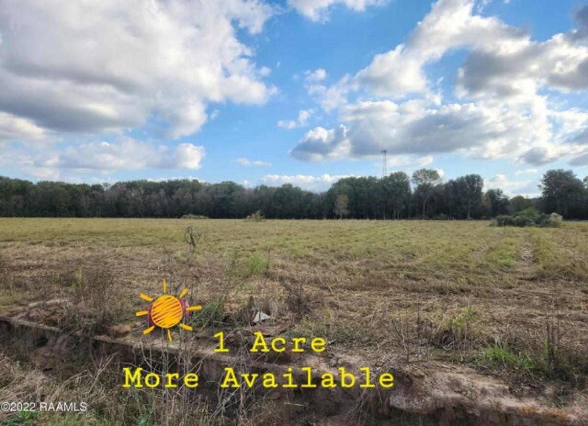 Picture of Residential Land For Sale in Ville Platte, Louisiana, United States