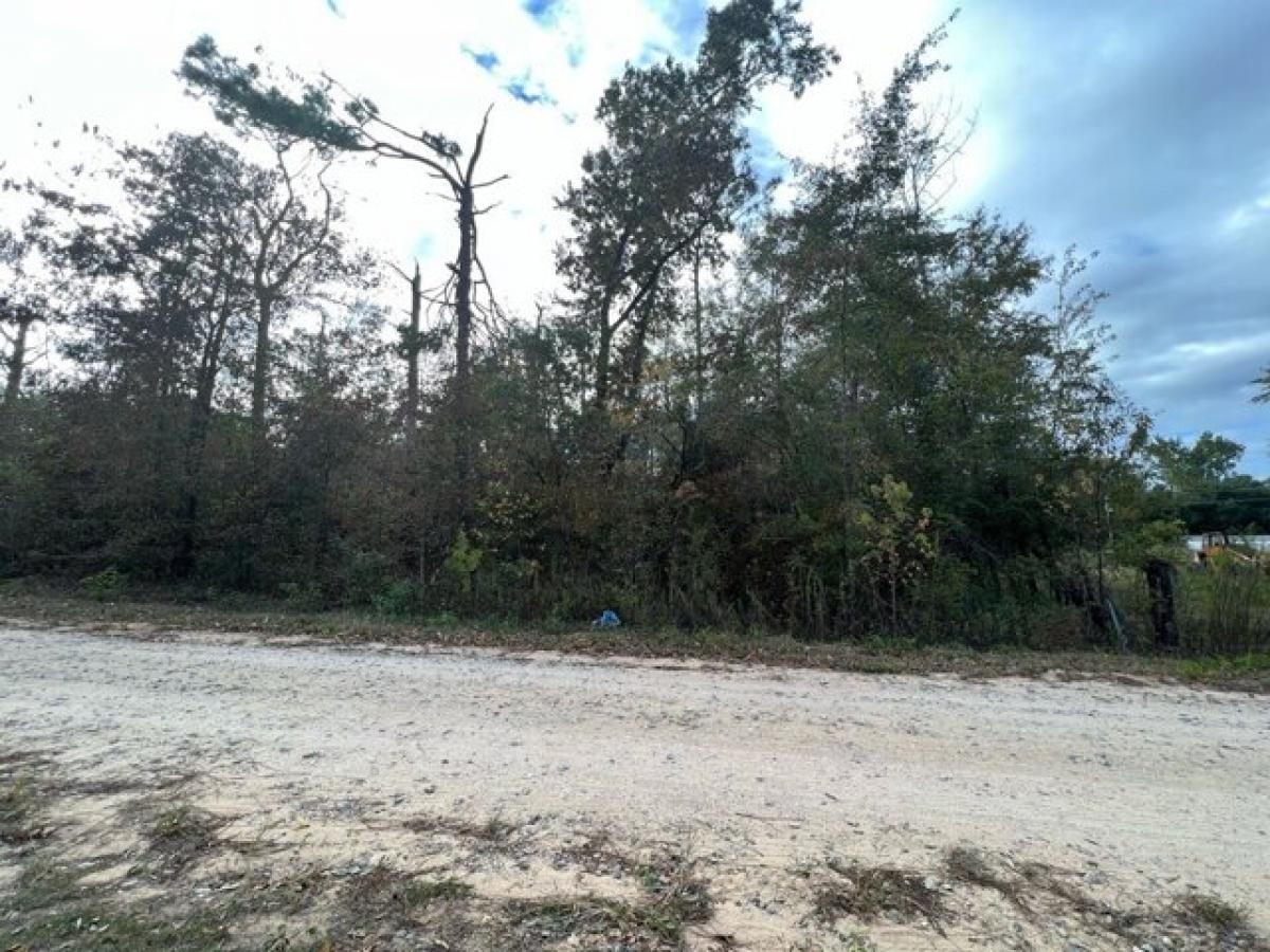 Picture of Residential Land For Sale in Donalsonville, Georgia, United States