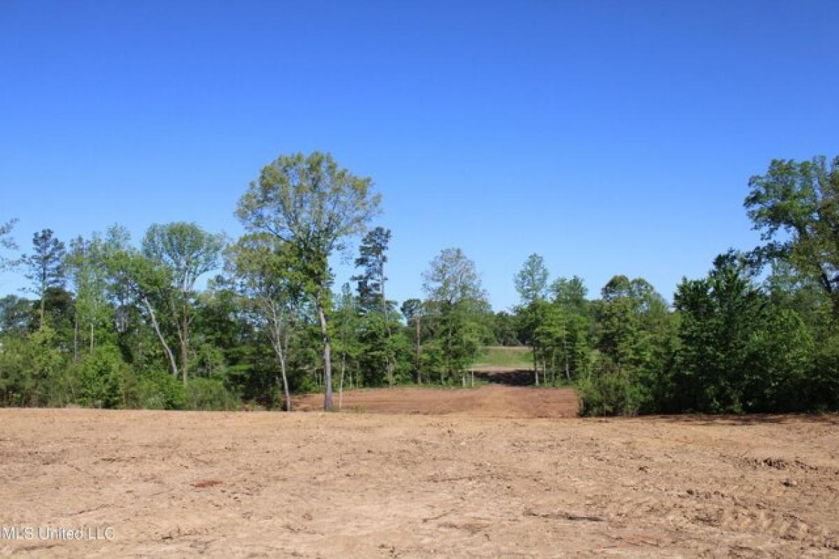 Picture of Residential Land For Sale in Holly Springs, Mississippi, United States