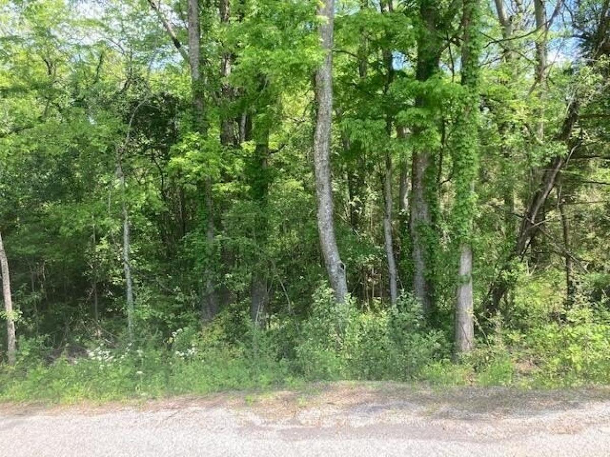 Picture of Residential Land For Sale in Starkville, Mississippi, United States