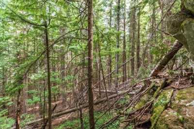 Residential Land For Sale in Mead, Washington