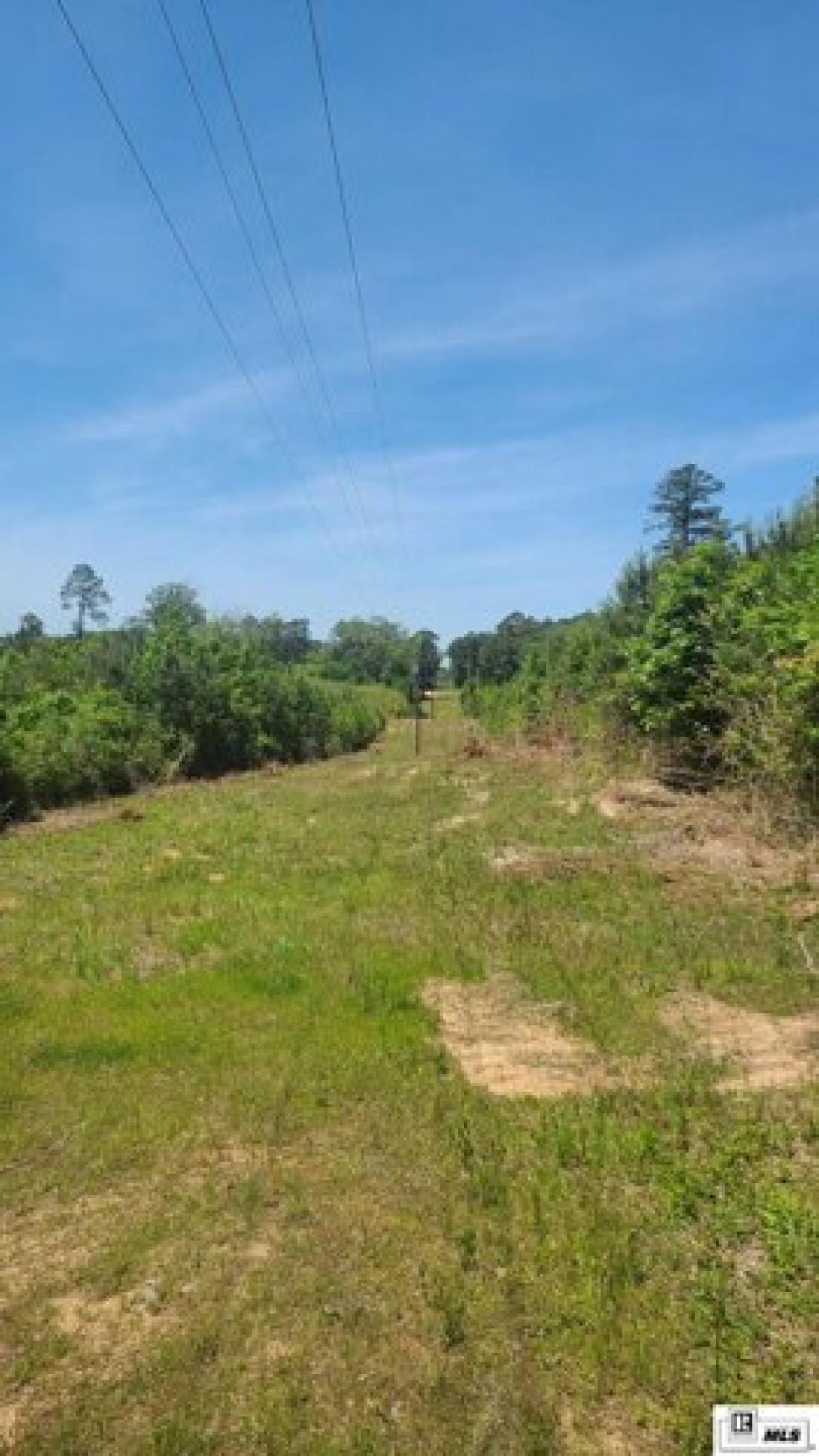 Picture of Residential Land For Sale in Downsville, Louisiana, United States