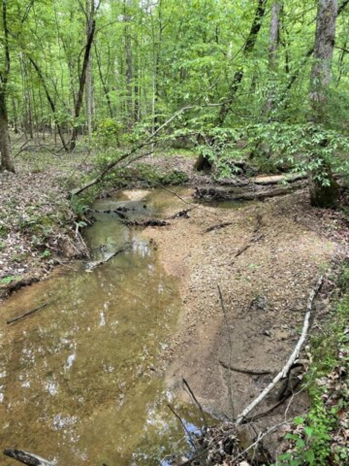 Picture of Residential Land For Sale in Steens, Mississippi, United States