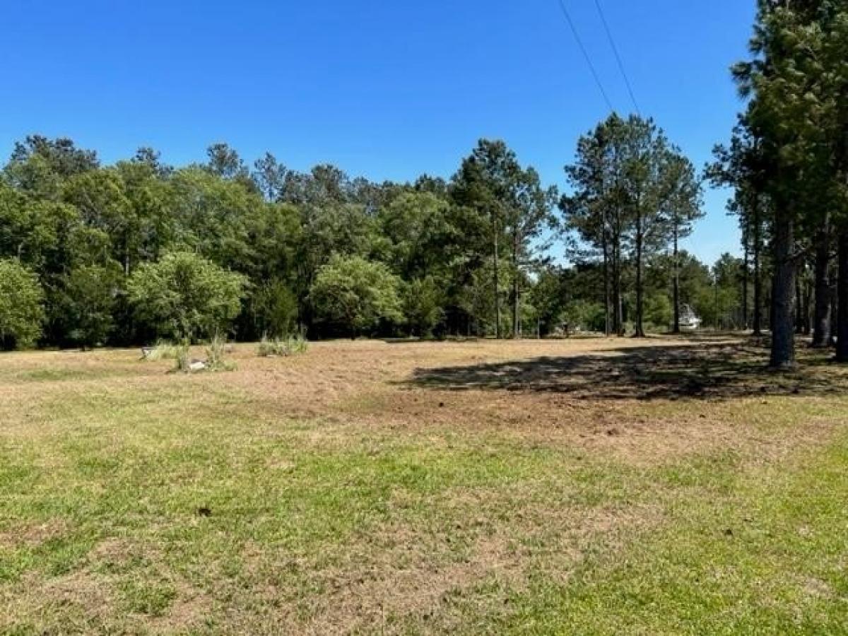 Picture of Residential Land For Sale in Whigham, Georgia, United States