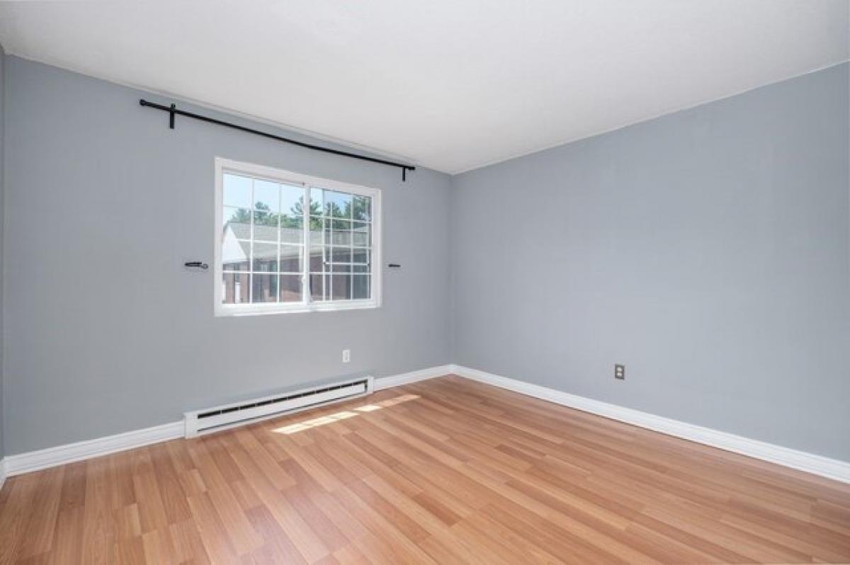 Picture of Apartment For Rent in Acton, Massachusetts, United States