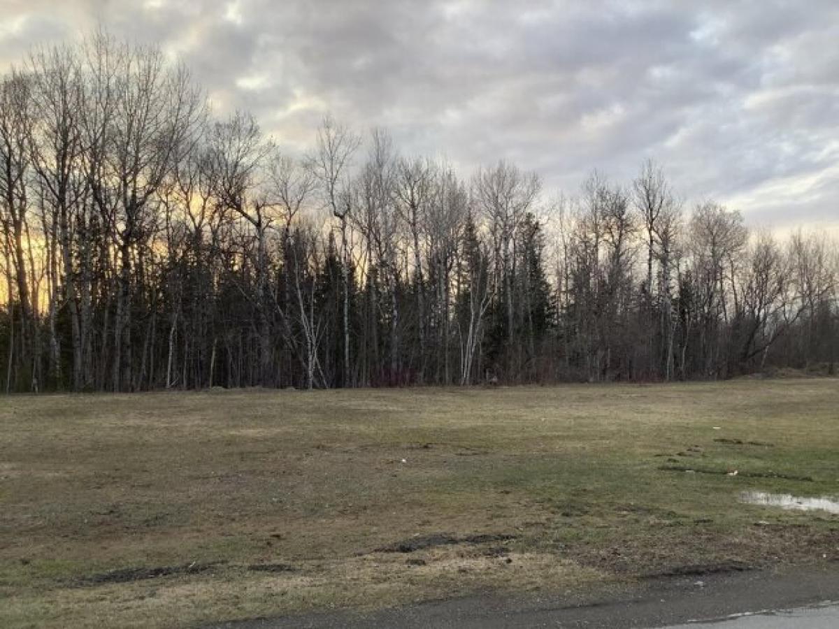 Picture of Residential Land For Sale in Fort Fairfield, Maine, United States